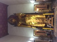 IMG 0700 (Copy)